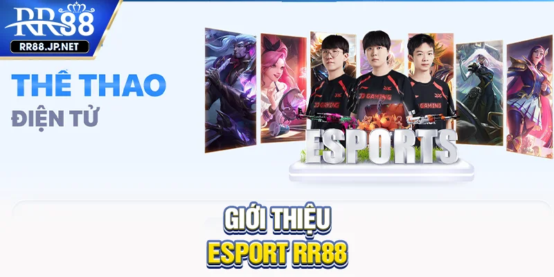Giới thiệu esport RR88 Giới thiệu esport RR88